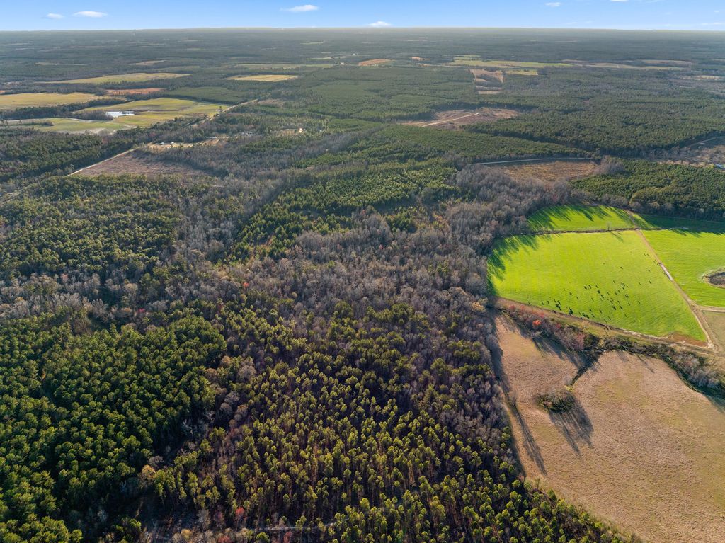 Photo of 00 Thomas Road, Millen, GA 30442 (MLS # 549544)