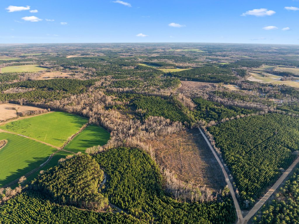 Photo of 00 Thomas Road, Millen, GA 30442 (MLS # 549544)