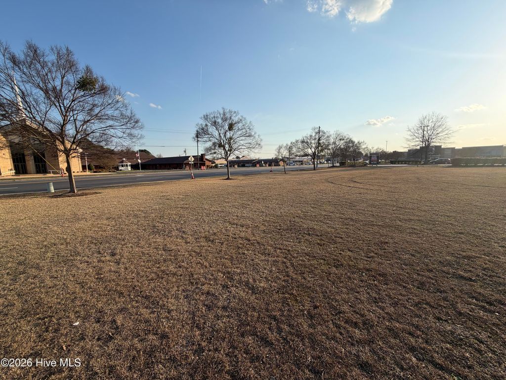 Photo of 1305 N Berkeley Boulevard, Goldsboro, NC 27534 (MLS # 100558781)