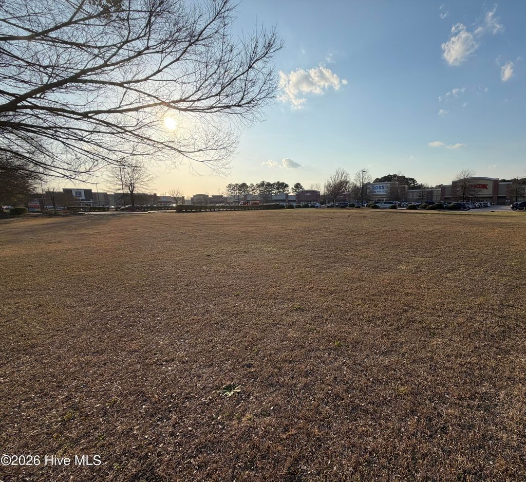 Photo of 1305 N Berkeley Boulevard, Goldsboro, NC 27534 (MLS # 100558781)