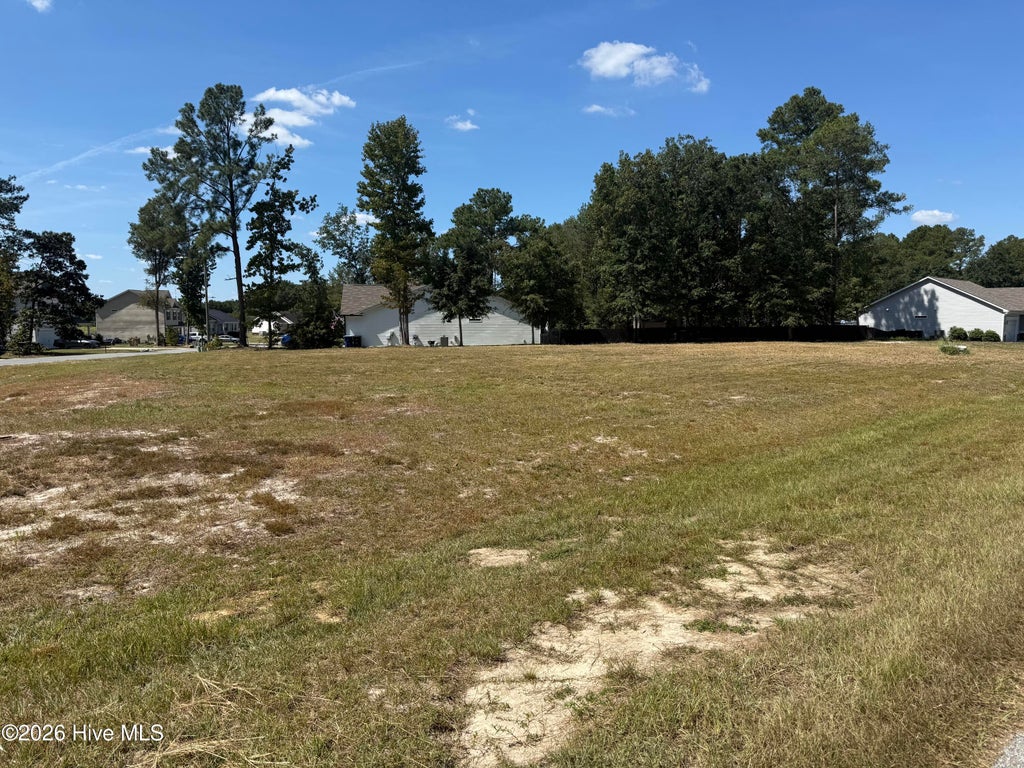 Photo of 5760 Huntington Park Drive, La Grange, NC 28551 (MLS # 100605208)