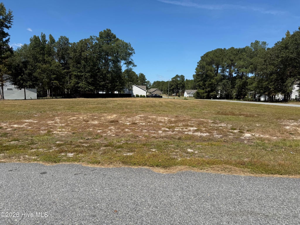 Photo of 5760 Huntington Park Drive, La Grange, NC 28551 (MLS # 100605208)