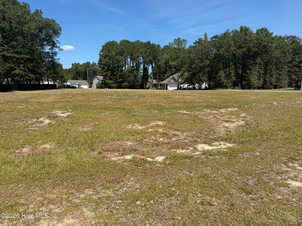 Photo of 5760 Huntington Park Drive, La Grange, NC 28551 (MLS # 100605208)