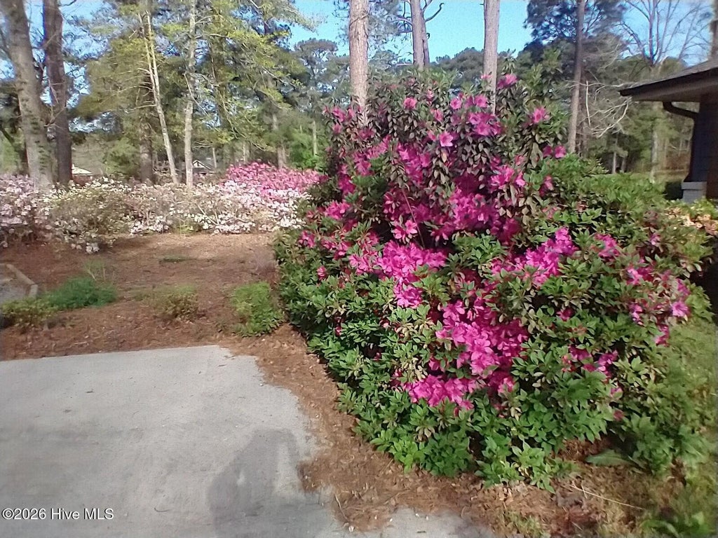 Photo of 36 Swamp Fox Drive, Carolina Shores, NC 28467 (MLS # 100605820)