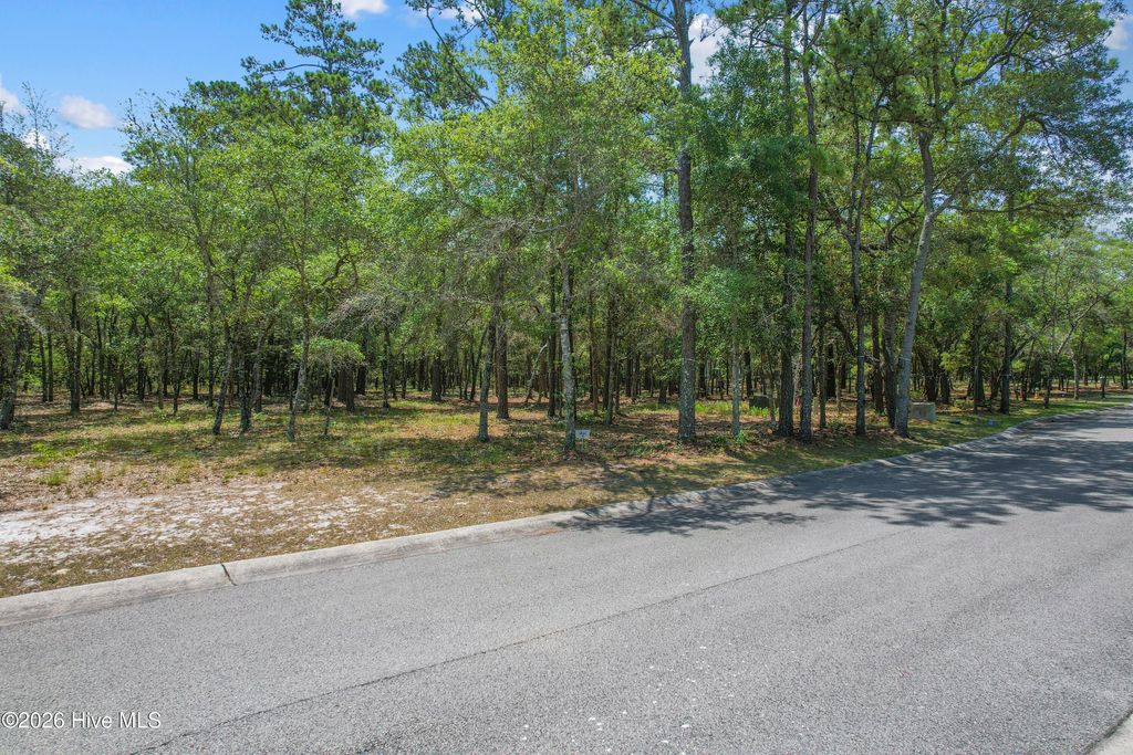 Photo of 3539 Concordia Avenue SW, Supply, NC 28462 (MLS # 100585094)