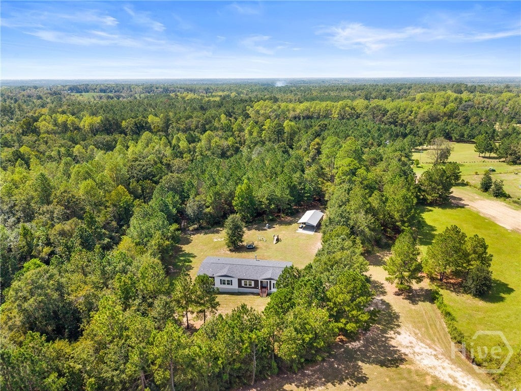 Photo of 4179 Nevils Groveland Road, Pembroke, GA 31321 (MLS # SA364939)