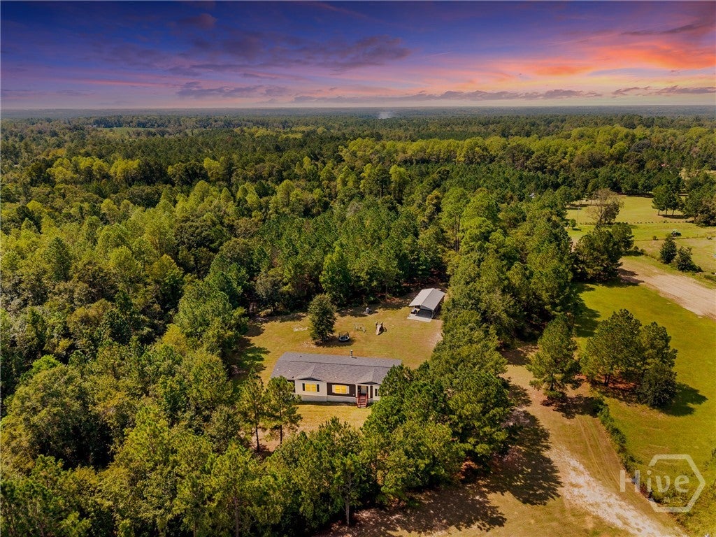 Photo of 4179 Nevils Groveland Road, Pembroke, GA 31321 (MLS # SA364939)