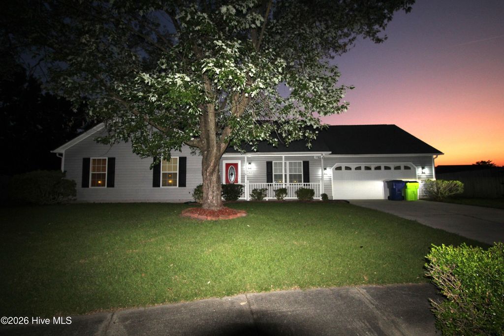 Photo of 903 Gum Branch Court, Havelock, NC 28532 (MLS # 100586281)