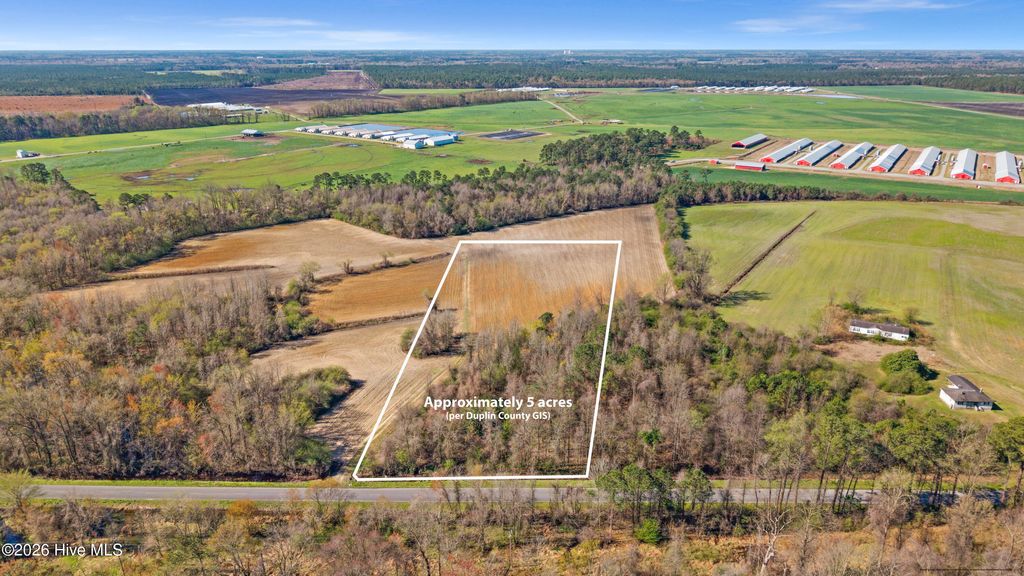 Photo of 0 Graham Dobson Road, Magnolia, NC 28453 (MLS # 100560517)