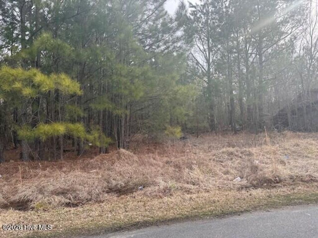 Photo of Tbd Carter Street, Woodland, NC 27897 (MLS # 100555315)