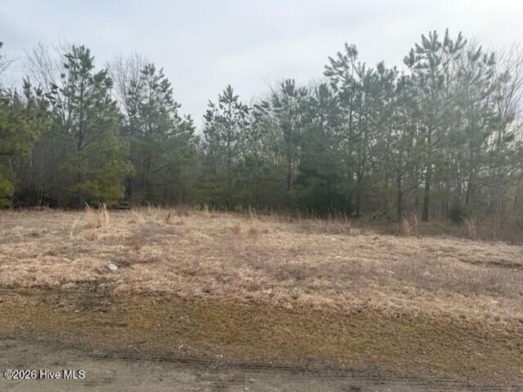 Photo of Tbd Carter Street, Woodland, NC 27897 (MLS # 100555315)
