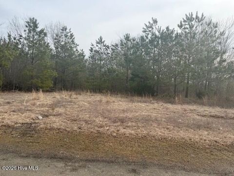 Vacant Land For Sale - TBD Carter Street<br/> Northampton County, Woodland, NC 27897