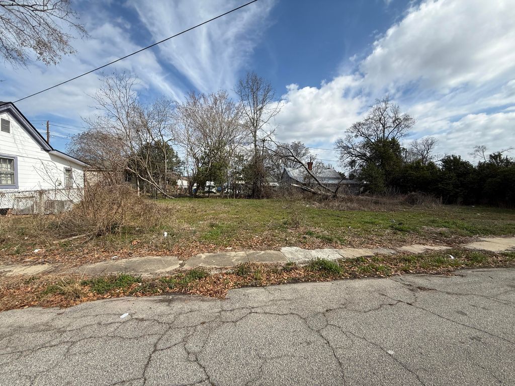 Photo of 1843 Telfair Street, Augusta, GA 30904 (MLS # 552473)