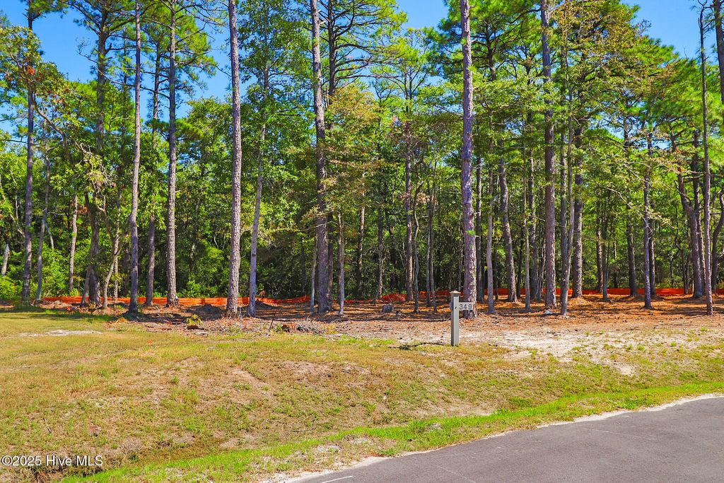 Photo of 420 Summer Duck Drive, Beaufort, NC 28516 (MLS # 100536256)