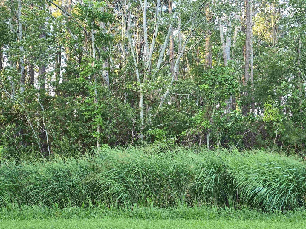 Photo of 104 Spindrift Trail, Elizabeth City, NC 27909 (MLS # 100603336)