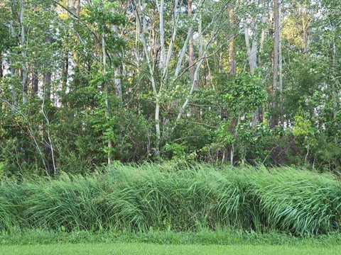 Vacant Land For Sale - 104 Spindrift Trail<br/> Elizabeth City, NC 27909