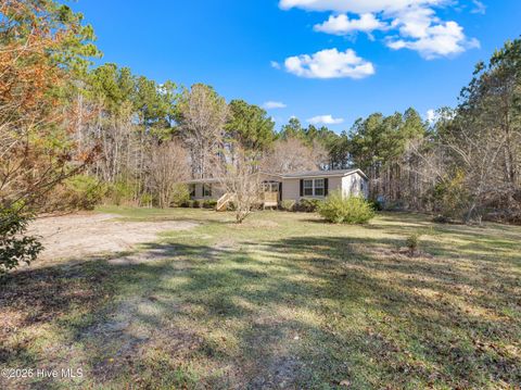 Tiny photo for 135 Edgewater Lane, Richlands, NC 28574 (MLS # 100560280)