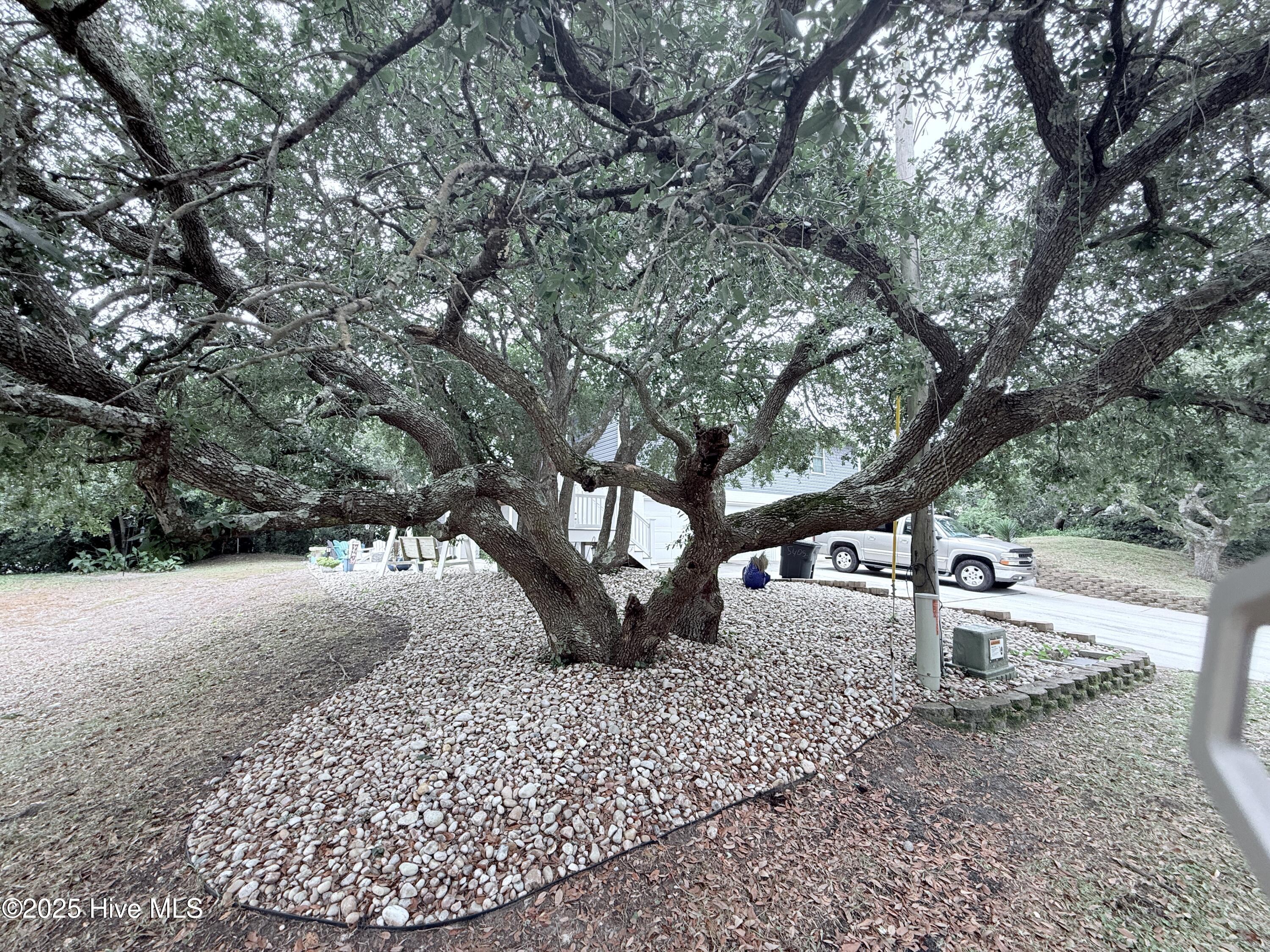 5405 Cedar Tree Lane