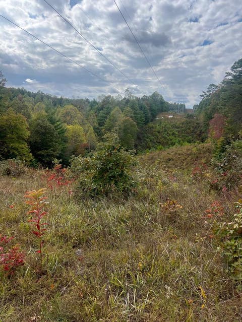 Vacant Land For Sale - TBD John Taylor Road<br/> Murphy, NC 28906