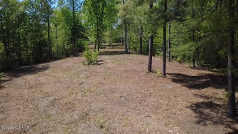 Tiny photo for 109111 Barry Lane, Jacksonville, NC 28540 (MLS # 100568145)