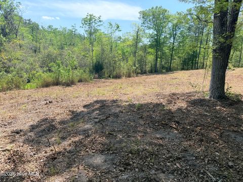 Tiny photo for 109111 Barry Lane, Jacksonville, NC 28540 (MLS # 100568145)