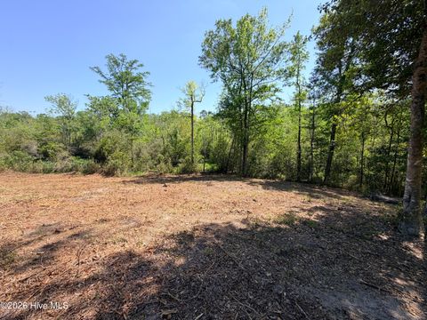 Tiny photo for 109111 Barry Lane, Jacksonville, NC 28540 (MLS # 100568145)