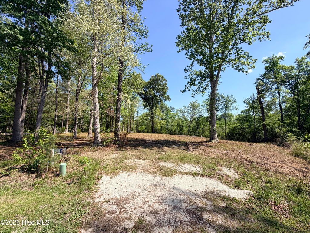 Photo of 109111 Barry Lane, Jacksonville, NC 28540 (MLS # 100568145)