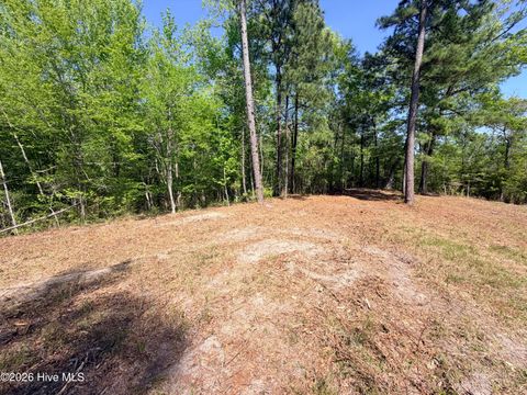 Tiny photo for 109111 Barry Lane, Jacksonville, NC 28540 (MLS # 100568145)