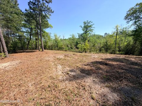 Tiny photo for 109111 Barry Lane, Jacksonville, NC 28540 (MLS # 100568145)