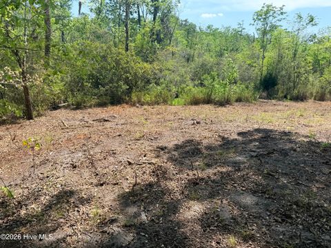 Tiny photo for 109111 Barry Lane, Jacksonville, NC 28540 (MLS # 100568145)