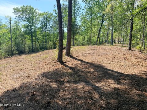 Tiny photo for 109111 Barry Lane, Jacksonville, NC 28540 (MLS # 100568145)