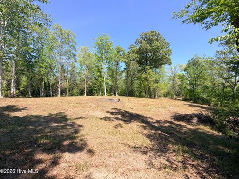 Tiny photo for 109111 Barry Lane, Jacksonville, NC 28540 (MLS # 100568145)