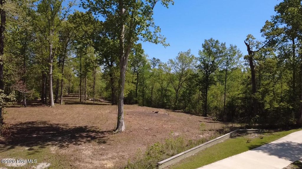 Photo of 109111 Barry Lane, Jacksonville, NC 28540 (MLS # 100568145)