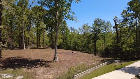 Tiny photo for 109111 Barry Lane, Jacksonville, NC 28540 (MLS # 100568145)