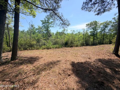 Tiny photo for 109111 Barry Lane, Jacksonville, NC 28540 (MLS # 100568145)
