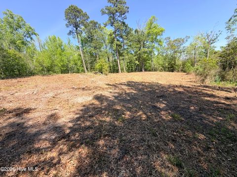 Tiny photo for 109111 Barry Lane, Jacksonville, NC 28540 (MLS # 100568145)