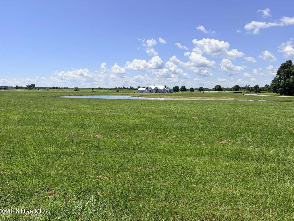 Photo of 137139 Regency Circle, Merry Hill, NC 27957 (MLS # 100598297)