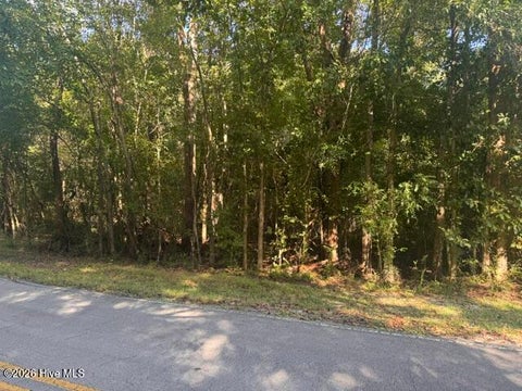 Vacant Land For Sale - B02-16 Olympia Road<br/> New Bern, NC 28560