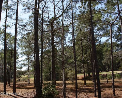 Tiny photo for 569 Lindgrove Place SW, Ocean Isle Beach, NC 28469 (MLS # 100560329)