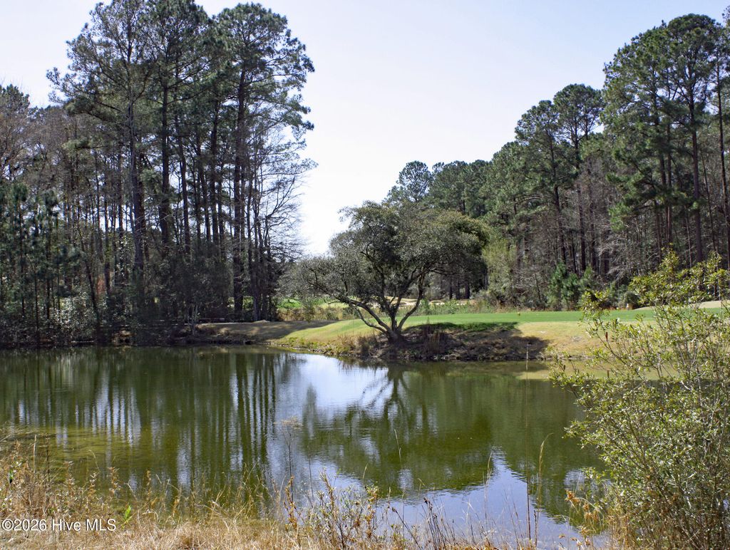 Photo of 569 Lindgrove Place SW, Ocean Isle Beach, NC 28469 (MLS # 100560329)