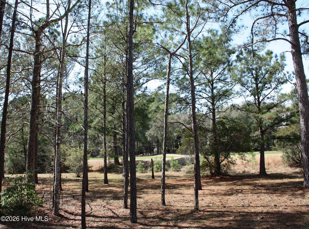 Photo of 569 Lindgrove Place SW, Ocean Isle Beach, NC 28469 (MLS # 100560329)