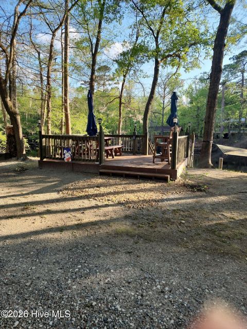 Tiny photo for 815 Riverview Drive, Burgaw, NC 28425 (MLS # 100555520)