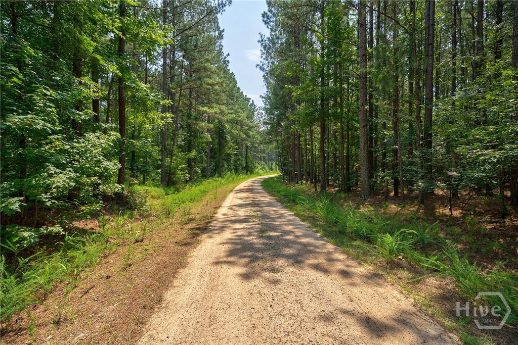 Photo of 0 Jabez Poyner Road, Carlton, GA 30627 (MLS # CL361816)