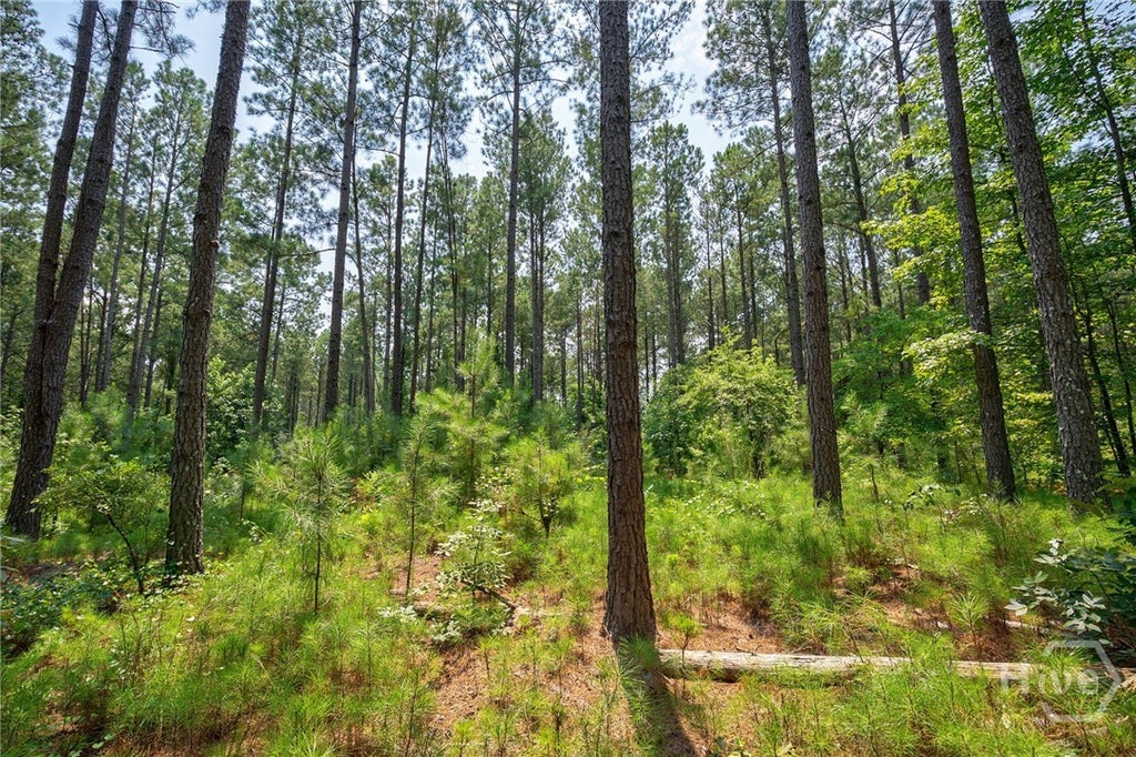 Photo of 0 Jabez Poyner Road, Carlton, GA 30627 (MLS # CL361816)