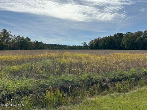 Vacant Land For Sale - 721 Joe Piver Road<br/> Columbus County, Chadbourn, NC 28431