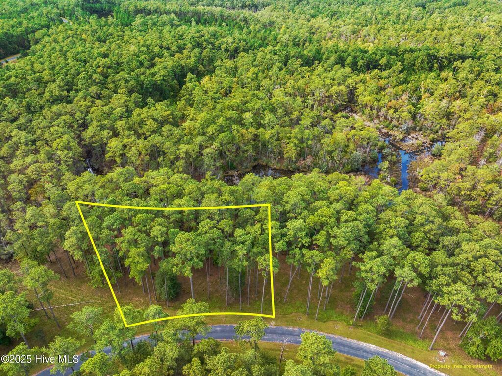 Photo of 87 Broadview Point, Oriental, NC 28571 (MLS # 100503586)