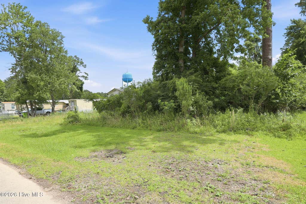 Photo of 104 Hickory Hills Court, New Bern, NC 28560 (MLS # 100585052)