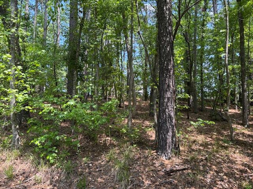 Photo of 2062 Glenn Falls, Grovetown, GA 30813 (MLS # 555035)