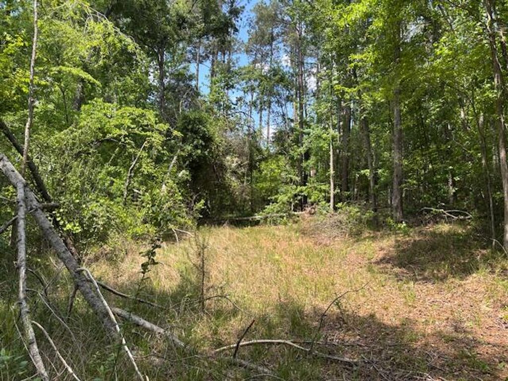 Photo of 2062 Glenn Falls, Grovetown, GA 30813 (MLS # 555035)