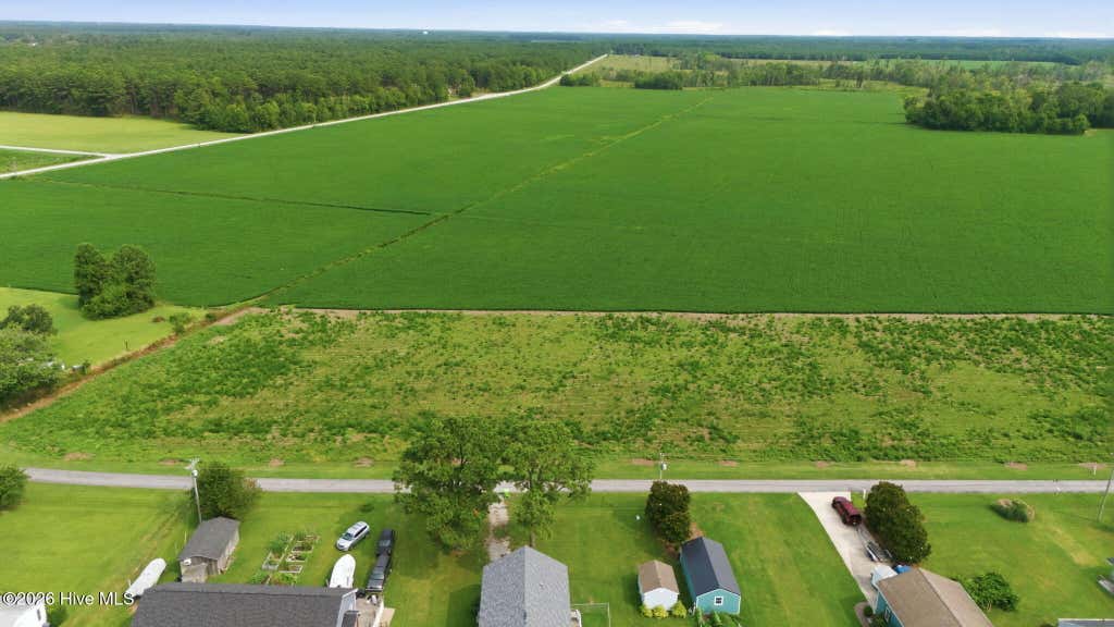 Photo of 197 China Grove Road, Arapahoe, NC 28510 (MLS # 100598459)